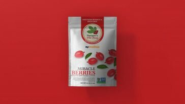 Free Small Paper Pouch Mockup