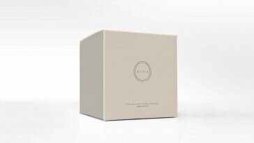 Free Square Box Packaging Design Mockup