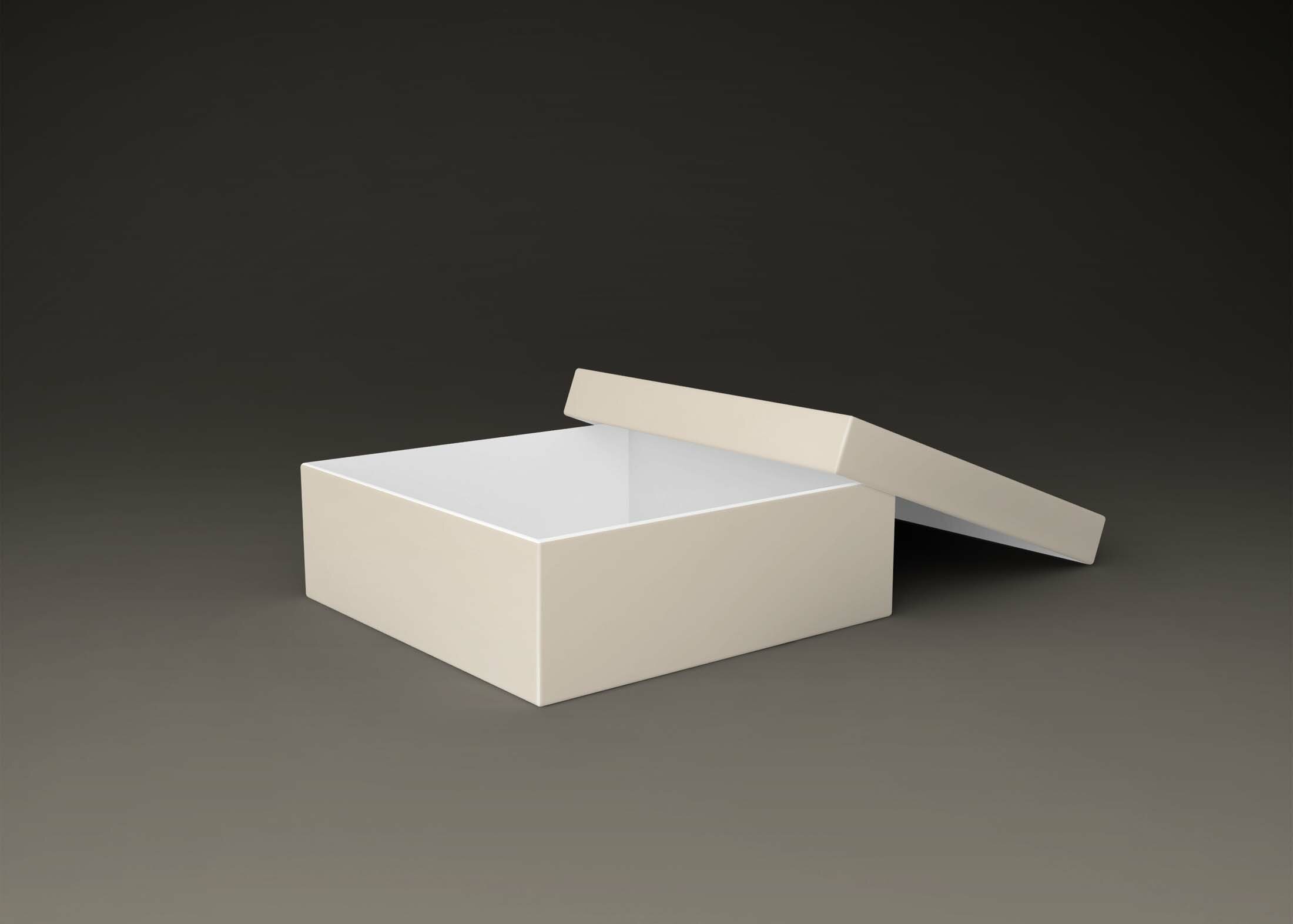 Free Document Stroage Box Mockup